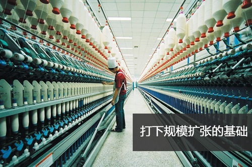 揭秘 魏橋帝國 山東首富擴張之路